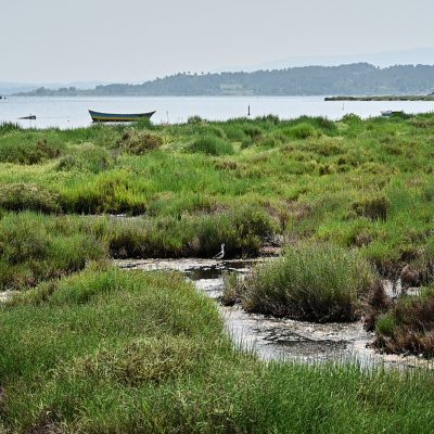 [PAGES – PAYRIAC – GRUISSAN] MAI 2021