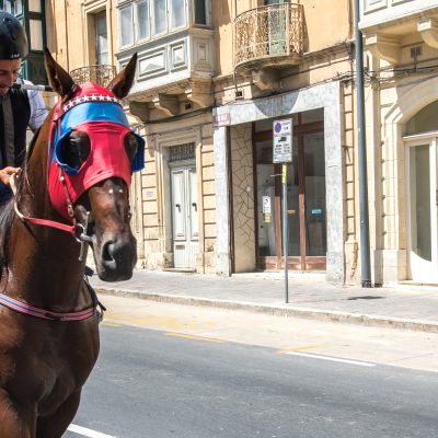 [HORSE RACE – VICTORIA] AOUT 2018