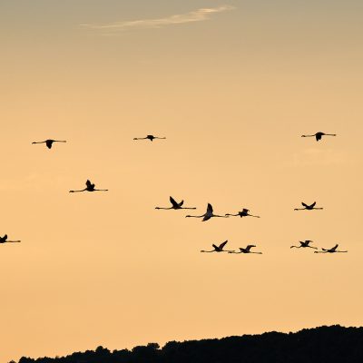 [GRUISSAN SALINES] AOUT 2023